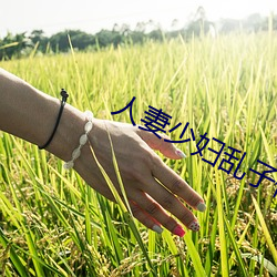 人妻少婦亂子倫A片