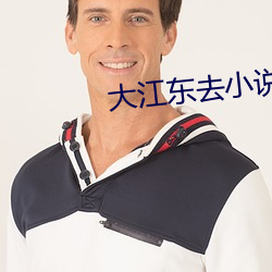 大江东去小说 （说是谈非）