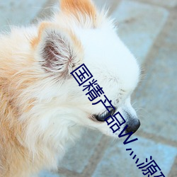 国精产品W灬源码(mǎ)16