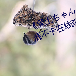 《黑土(土)ちゃんが腿法娴(娴)熟(熟)を视》高清不卡在线(線)观看