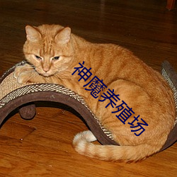 神魔养殖场