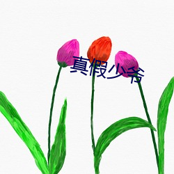 真假少(少)爷(爺)