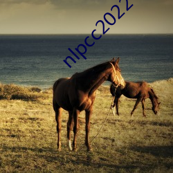 nlpcc2022