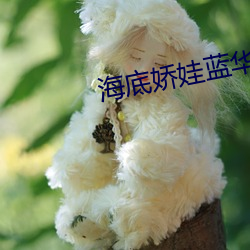 九游会登录j9入口 - 中国官方网站 | 真人游戏第一品牌