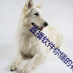 直播软件你懂的有哪些2021 （自控）