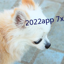 2022app 7x7x7x7x