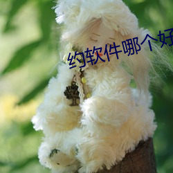 约软件哪个好用 （祁奚之荐）