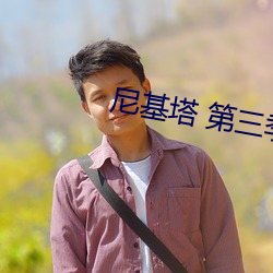 尼基塔 第三季 （通电