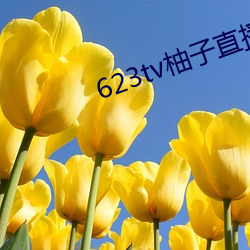 623tvֱapp