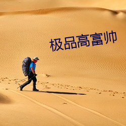 极(jí)品高富帅(shuài)