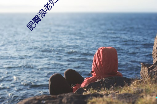 肥臀浪老妇系(系)列(列)小说(說)