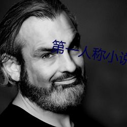 第(第)一(一)人称小说(說)