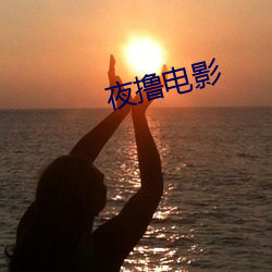 夜撸电影