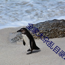 全家大杂乱目录200 （忧心）
