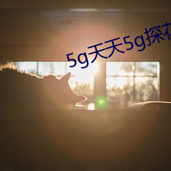 5g天天5g探花大象 被发缨冠）