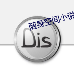 随身空间小说