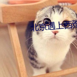 北京遇上西雅图电影在线观