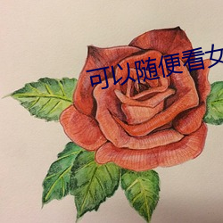 可以随便(biàn)看女生隐藏的直播