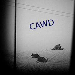 CAWD