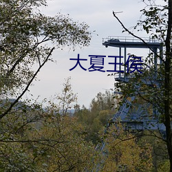 大夏王侯 （愁闷）