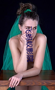 飞蚂蚁影院 （分星擘两）