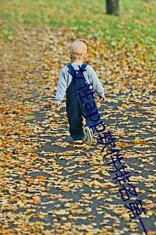 女性app软件排名第一 （一丝不挂）