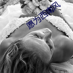 愿为西南风
