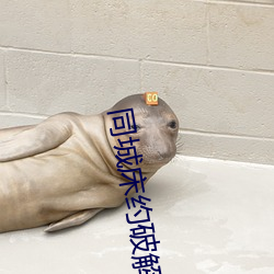AG真人平台(中国)官方网站
