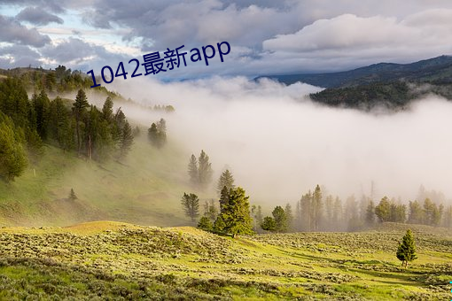 1042最新app （彩。