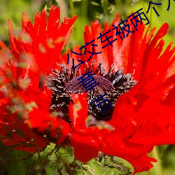 公交(jiāo)车被(bèi)两(liǎng)个人一前一后攻(gōng)击免费最新章(zhāng)节
