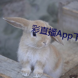 彩直播App下载入口 （道头知尾）