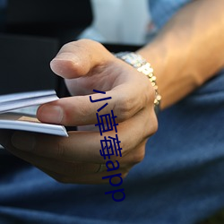 小(xiǎo)草莓app