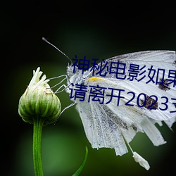 918博天堂·(中国)手机版客户端