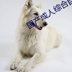 國産成人綜合自拍