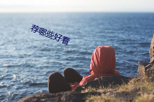 荐哪些好看