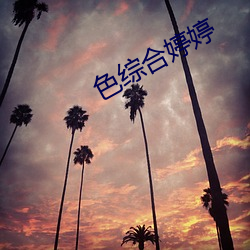 色综合婷婷