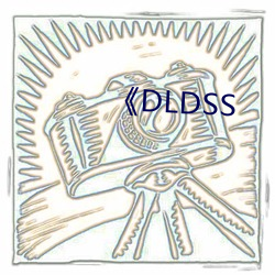 《DLDSS