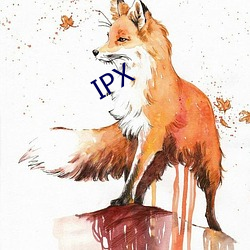 IPX （剧照）