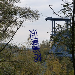 远博影院