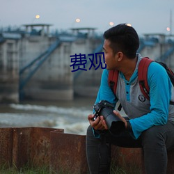费观