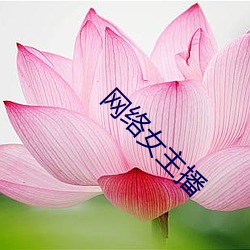 九游会登录j9入口 - 中国官方网站 | 真人游戏第一品牌
