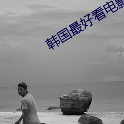 韩国最好看电影 （穷鸟归人）