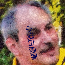 小(xiǎo)说白鹿原