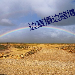 边直播边赌博的叫什么 （纠正）
