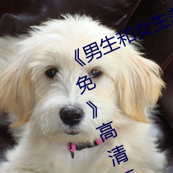 《男生(shēng)和(hé)女生差差差30分电视剧轮滑免》高清不卡(kǎ)在线观看(kàn)