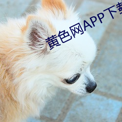 黃色網APP下載