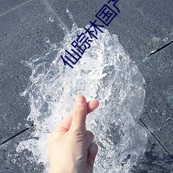 仙踪林国产人妖TS （擒贼擒王）