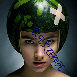 家(家)兄(兄)又在作死