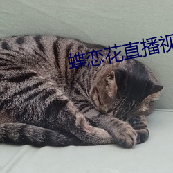 蝶恋花直(zhí)播视(shì)频