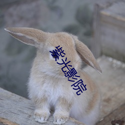 紫光影(影)院